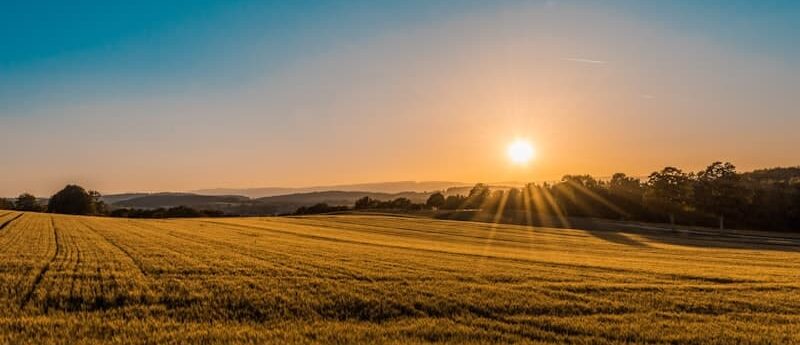 Sunrise over an open golden field with distant trees and hills, symbolizing calm, hope, and healing in Greenwood Village counseling services.